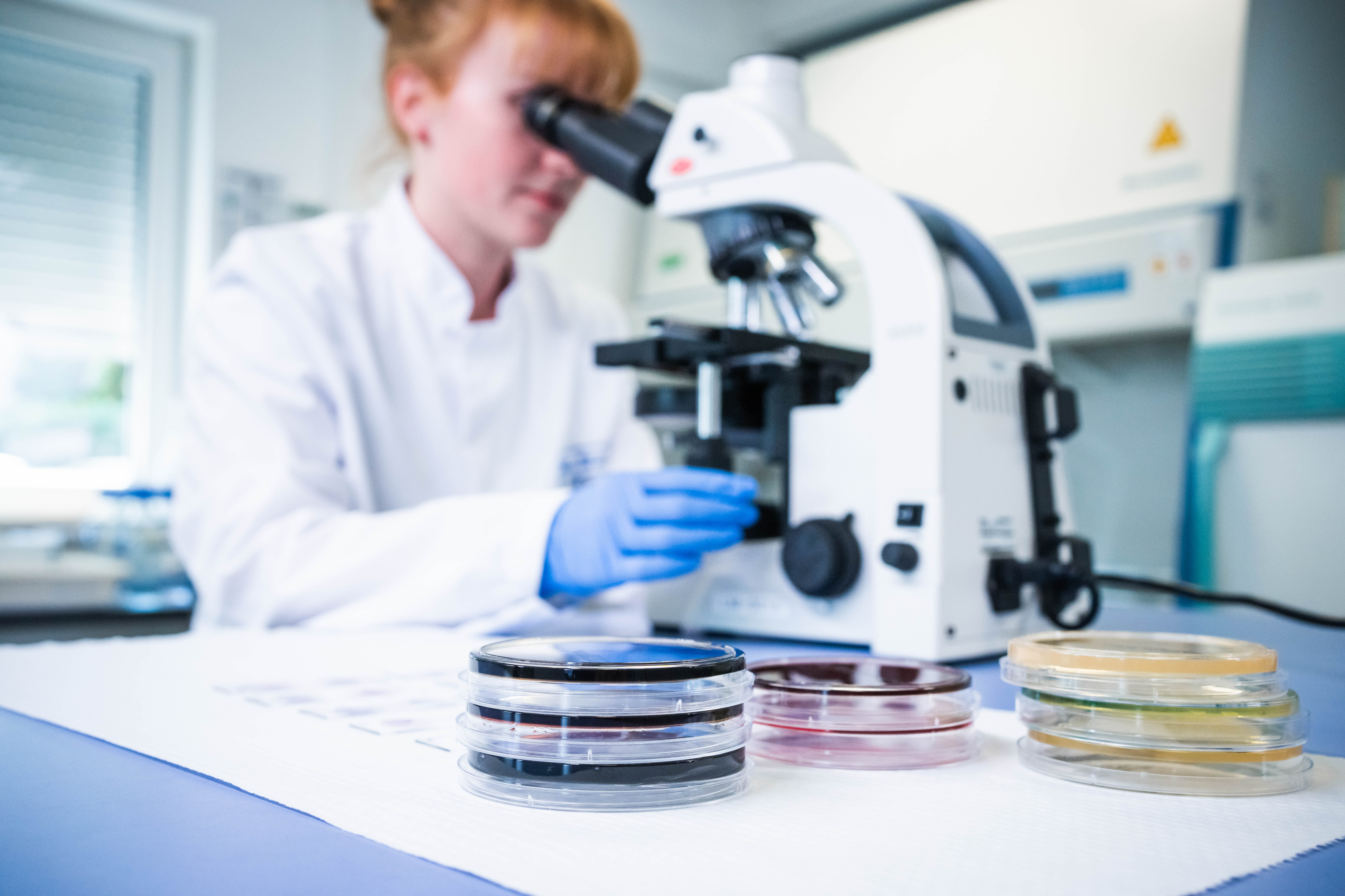 Validierungen und Hygienetests vom Spezialisten – für alle Geräte